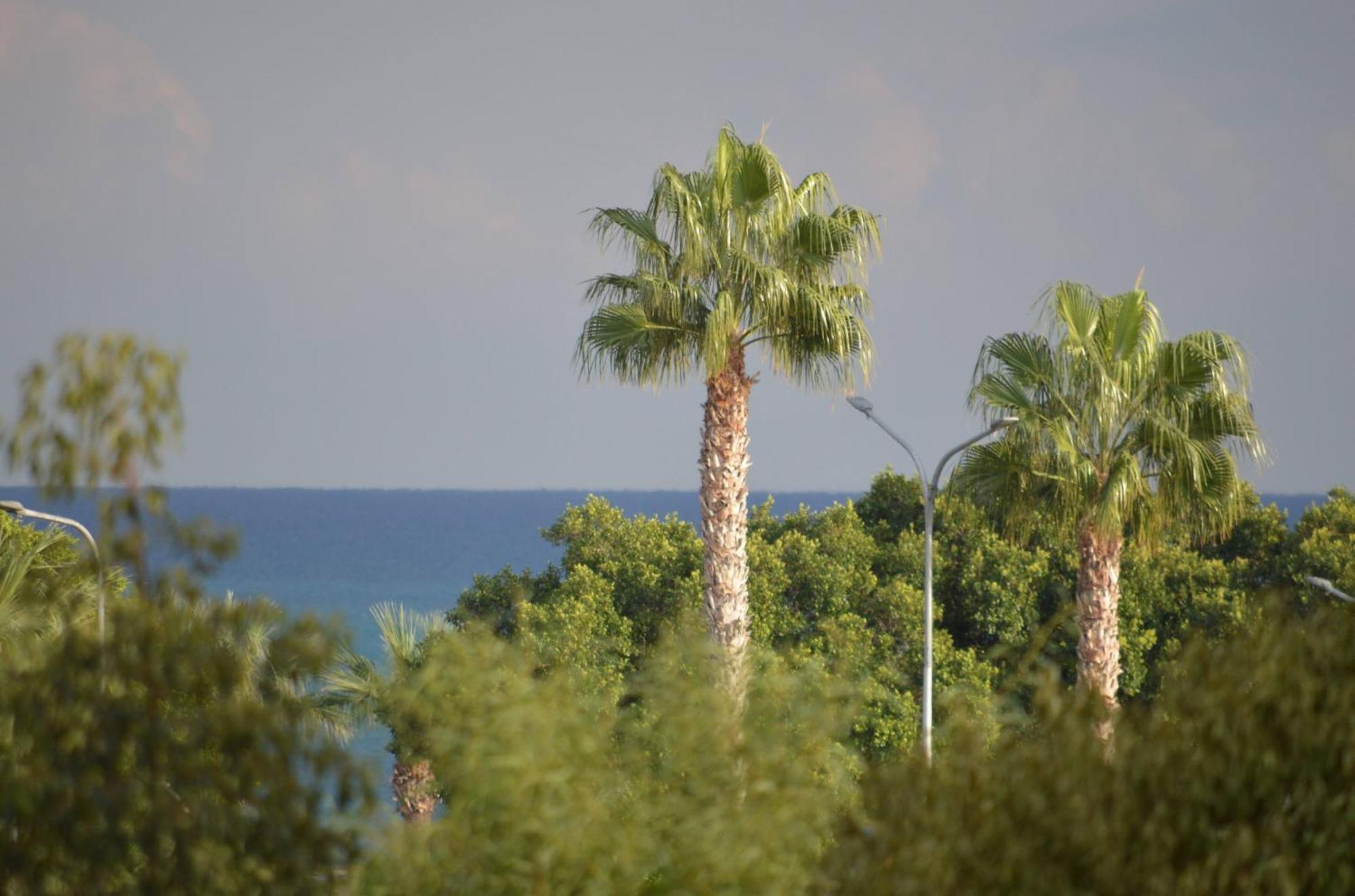 Modern Apartment Near Mckenzie Beach Larnaca Esterno foto